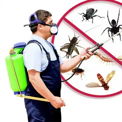 pest control Townsend